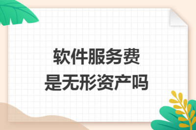 軟件服務費與無形資產 概念辨析與會計處理
